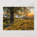 Search for alps cards Valley
