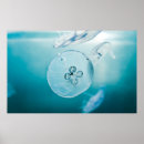 Search for vintage jellyfish posters Underwater