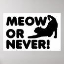 Search for meows posters Feline