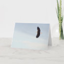 Search for flying eagle cards Avian