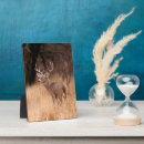 Search for danita delimont plaques Antlers