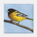 Search for baltimore magnets Nature
