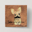 Search for chihuahua badges Humour