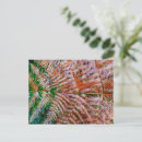 Search for woodland plants postcards Leaf