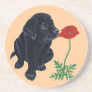 Search for black labrador coasters Cute