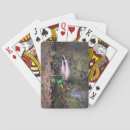 Search for duck playing cards Mallard