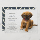 Search for new kitten invitations Adoption