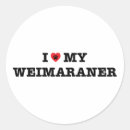 Search for weimaraner stickers Puppy
