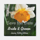 Search for daffodil save the dates White