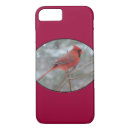 Search for cardinals iphone cases Red cardinal