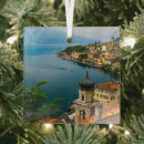 Search for the southern christmas tree decorations Landscape