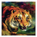 Search for snarled Wild