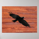 Search for raven art Birds