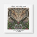 Search for beard photography Dragon