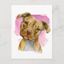 Search for tilt postcards Animals