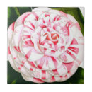 Search for candy stripe tiles Vintage