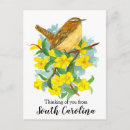 Search for thinks postcards Animal