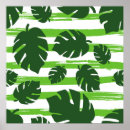 Search for exotic plants posters Colourful