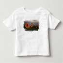 Search for garden of the gods tshirts Formation