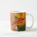 Search for orange petals mugs Nature