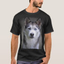 Search for siberian husky blue eyes tshirts Black