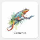 Search for rainforest animal stickers Jungle