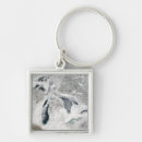 Search for frozen key rings Photography