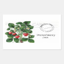 Search for strawberry labels Jar