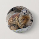 Search for marmot badges Groundhog