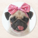 Search for pug coasters Funny