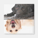 Search for dirty dishes magnets Dishwasher