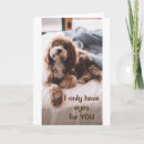 Search for funny dog anniversary cards Photography