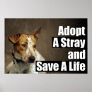 Search for adoptive posters Life