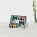 Search for cat collage cards Pet