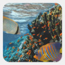 Search for coral reef stickers Sea