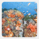 Search for structure stickers Animal