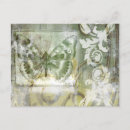 Search for butterfly postcards Green