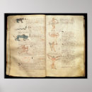 Search for constellation posters French