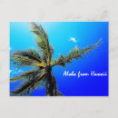 Search for aloha from hawaii postcards Honolulu