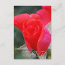 Search for quinceanera rsvp cards Pretty