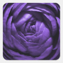 Search for macro stickers Purple