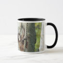 Search for orangutan mugs Nature