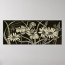 Search for entomology posters Illustration