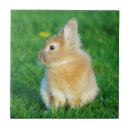 Search for easter tiles Rabbit