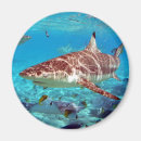 Search for biting round magnets Shark