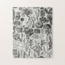 Search for rocks and minerals puzzles Geology