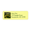 Search for yellow daffodil return address labels Floral
