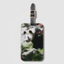 Search for china travel accessories Zoo