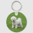 Search for bichons key rings Funny