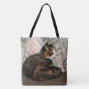 Search for indoors bags Domestic cat